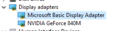 Microsoft Basic Display Adapter