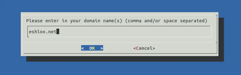 Let's Encrypt - enter domain